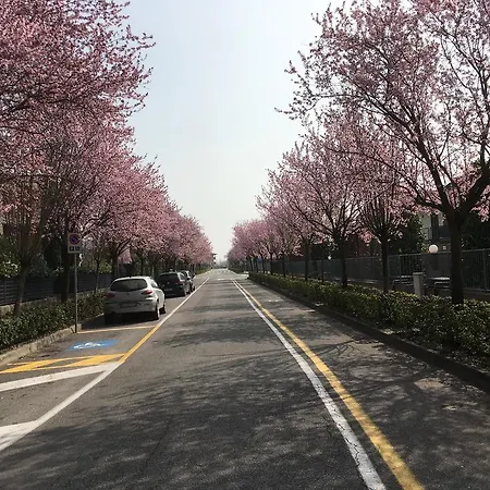 Villaggio Dei Fiori * Sirmione